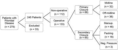 Analysis of Outcomes in Adolescents and Young Adults With Pilonidal Disease